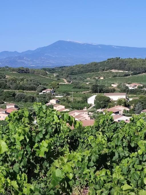 Maison De Village Châteauneuf-du-Pape Exteriér fotografie